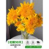 泰迪向日葵鲜花批發摆摊鲜花云南直发基地真花材鲜切花期长插花束