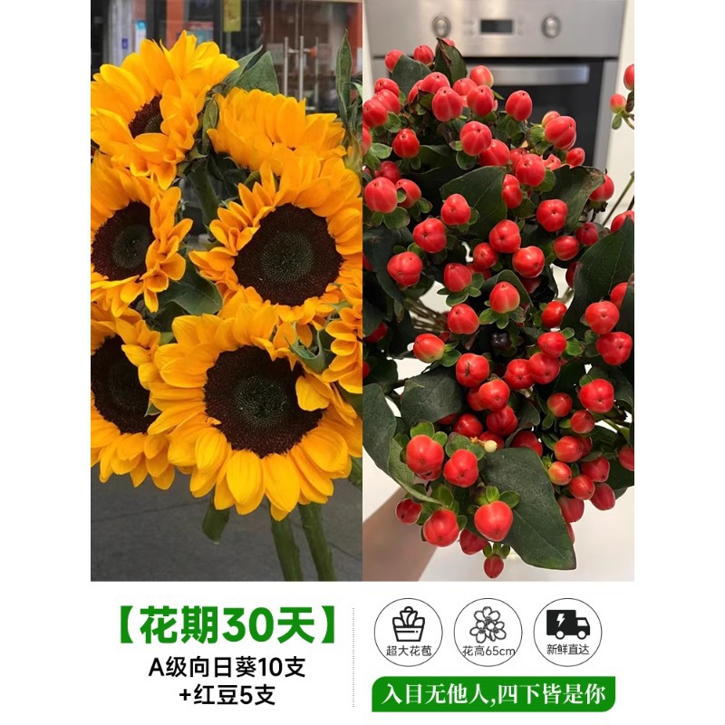 泰迪向日葵鲜花批發摆摊鲜花云南直发基地真花材鲜切花期长插花束