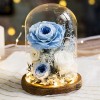 永生花玻璃罩成品玫瑰批发 情人节礼物保鲜花永生花礼盒一件代发