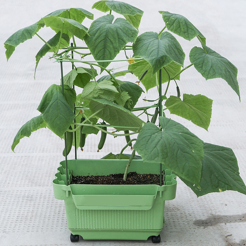 MK-04茄果盆单套装园艺用品 水土分离家用阳台花园蔬菜种植花盆