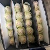 单头玫瑰花云南鲜花直批花店家用教师节母亲节花卉批发可一件代发