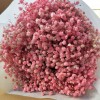 满天星干花永生花装饰材料批发零售家居婚庆跨境厂家直销