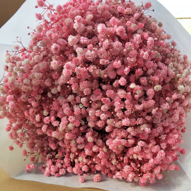 满天星干花永生花装饰材料批发零售家居婚庆跨境厂家直销