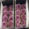 单头玫瑰花云南鲜花直批花店家用教师节母亲节花卉批发可一件代发