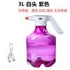 3L电动喷水壶浇花家用电动喷雾器消毒园艺洒水壶Water Spray Can