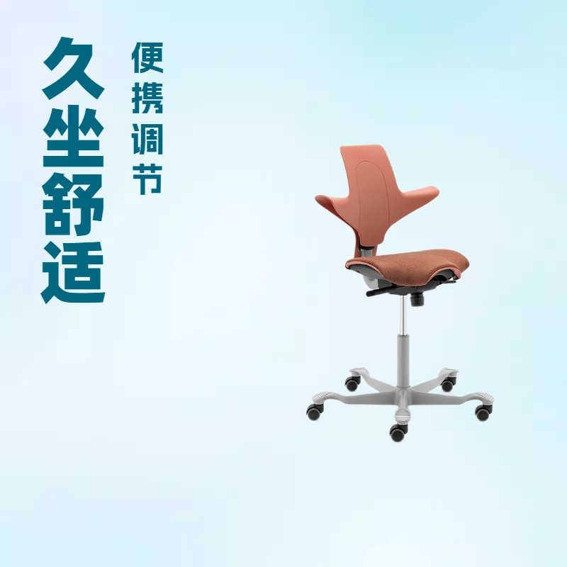 挪威设计HAG骑马椅家用座椅可升降可旋转久坐人体工学椅