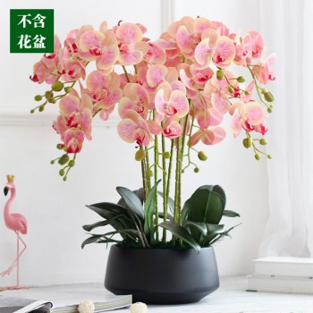 蝴蝶兰仿真花高级手感兰花摆放花卉客厅餐桌玄关婚庆装饰花艺摆件