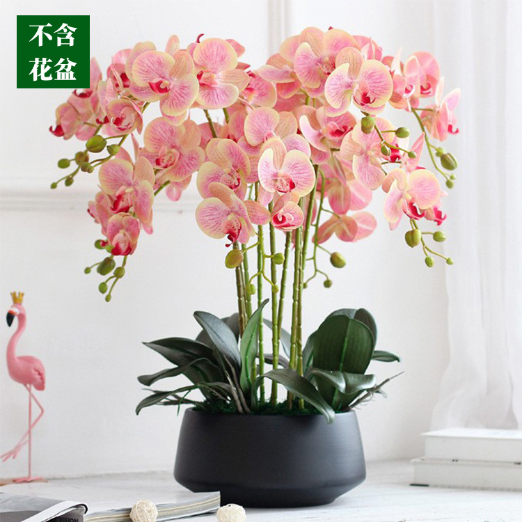 蝴蝶兰仿真花高级手感兰花摆放花卉客厅餐桌玄关婚庆装饰花艺摆件