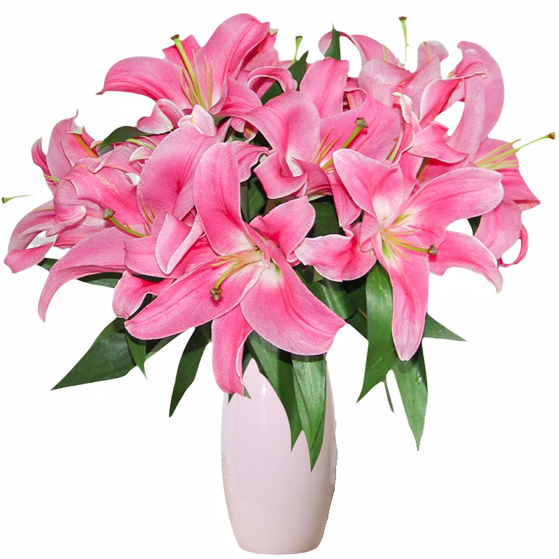 鲜花云南直发多头百合花鲜花水养香水百合鲜切花真花束基地批发
