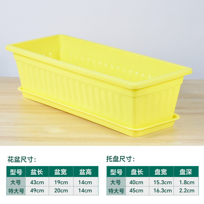 长条塑料花盆带托盘多肉植物蔬菜种植盒家居花园用阳台种菜盆