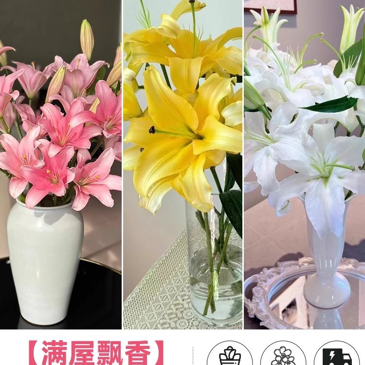 鲜花云南直发多头百合花鲜花水养香水百合鲜切花真花束基地批发