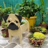 跨境创意花盆宠物摆件盆栽阳台花园家居装饰品庭院创意狗花盆摆件