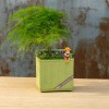 新品创意多肉花盆摆件树脂工艺品花园家居装饰品怀旧种植盆摆设品