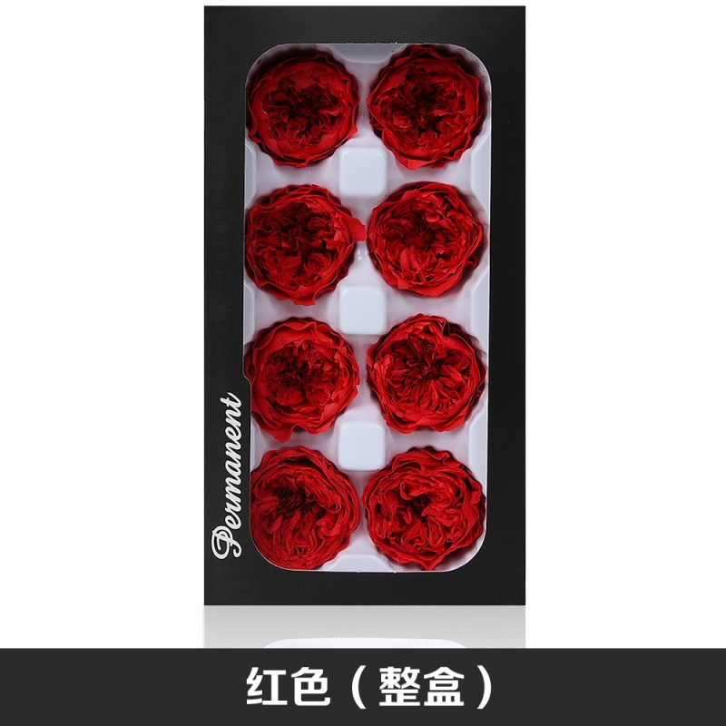 国产奥斯汀永生花A级4-5cm钥匙扣车挂礼盒花材新娘头饰干花保鲜花