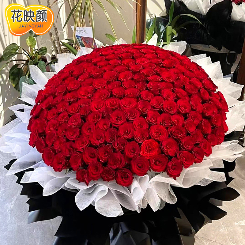 订婚玫瑰花配送鲜花速递同城花束朵99情人节红粉生日991999其他