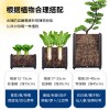蔬菜花园种植箱塑料韭菜拼装酒店蔬菜箱耐用阳台种花神器种菜造型