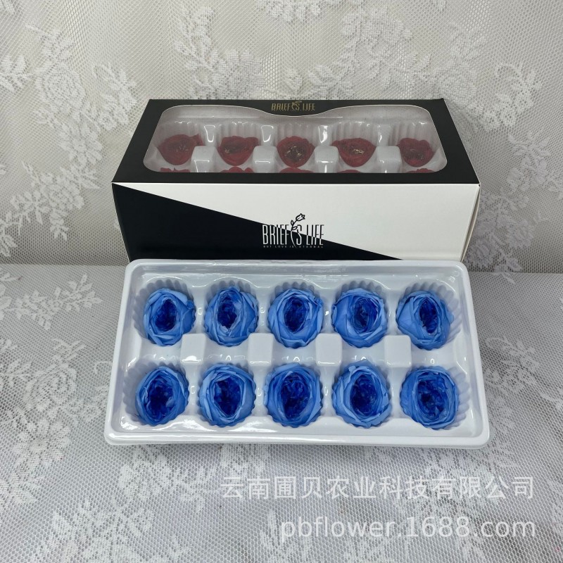 花者厂家直供A级保鲜花酷皮玫瑰4-5cm蝴蝶奥斯汀双色永生花头批发