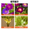 太阳能7头雪莲花地插灯庭院红粉黄紫假花氛围灯户外防水草坪灯