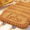 比利时Lotus和情焦糖饼干进口零食小吃咖啡饼干独立包装婚庆喜糖