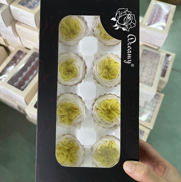 国产奥斯汀永生花A级4-5cm钥匙扣车挂礼盒花材新娘头饰干花保鲜花