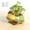 多肉花盆迷你盆栽花园庭院摆件装饰品桌面置物架绿植陶瓷花盆容器