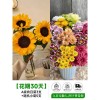 泰迪向日葵鲜花批發摆摊鲜花云南直发基地真花材鲜切花期长插花束