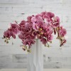蝴蝶兰仿真花高级手感兰花摆放花卉客厅餐桌玄关婚庆装饰花艺摆件