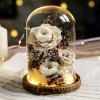 永生花玻璃罩成品玫瑰批发 情人节礼物保鲜花永生花礼盒一件代发