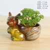 多肉花盆迷你盆栽花园庭院摆件装饰品桌面置物架绿植陶瓷花盆容器