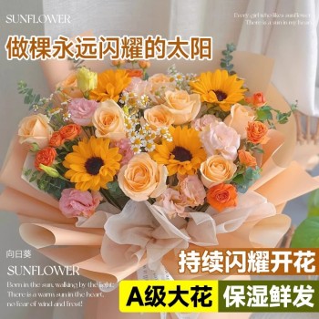 泰迪向日葵鲜花批發摆摊鲜花云南直发基地真花材鲜切花期长插花束