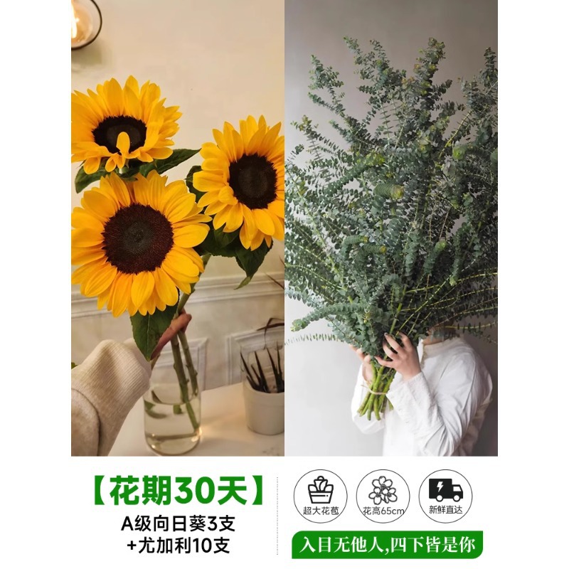 泰迪向日葵鲜花批發摆摊鲜花云南直发基地真花材鲜切花期长插花束