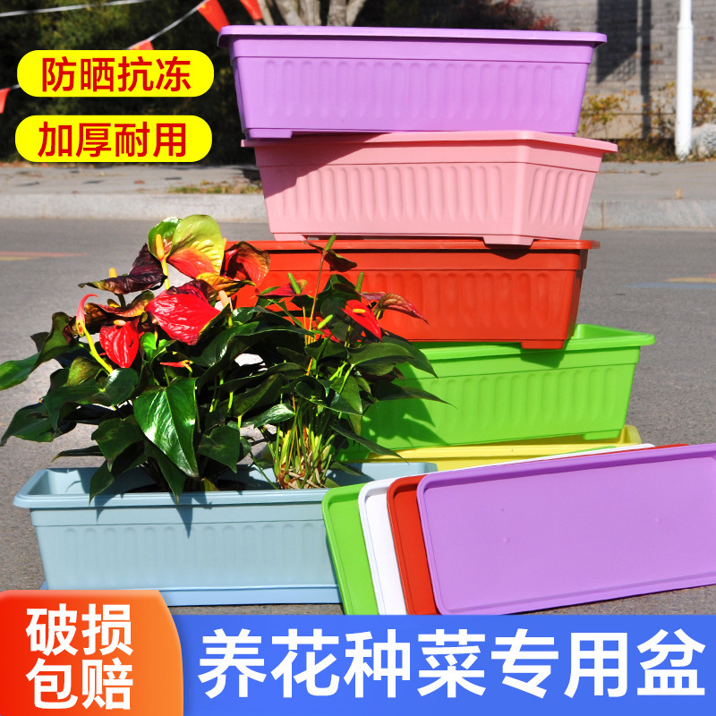 长条塑料花盆带托盘多肉植物蔬菜种植盒家居花园用阳台种菜盆