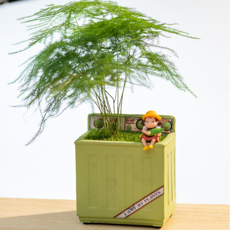 新品创意多肉花盆摆件树脂工艺品花园家居装饰品怀旧种植盆摆设品