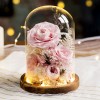 永生花玻璃罩成品玫瑰批发 情人节礼物保鲜花永生花礼盒一件代发