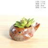 多肉花盆迷你盆栽花园庭院摆件装饰品桌面置物架绿植陶瓷花盆容器