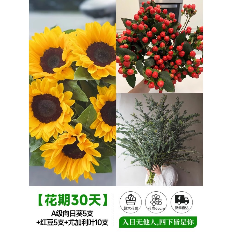 泰迪向日葵鲜花批發摆摊鲜花云南直发基地真花材鲜切花期长插花束