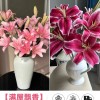 鲜花云南直发多头百合花鲜花水养香水百合鲜切花真花束基地批发