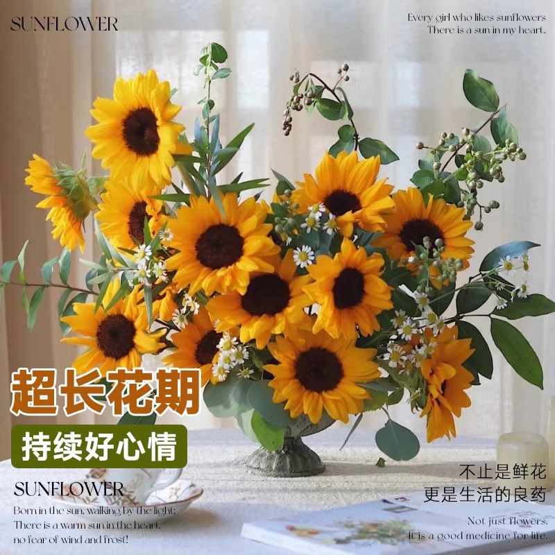 泰迪向日葵鲜花批發摆摊鲜花云南直发基地真花材鲜切花期长插花束