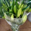 黄天霸黄色香水百合鲜花批发云南基地直发水培鲜切花摆摊插花插瓶