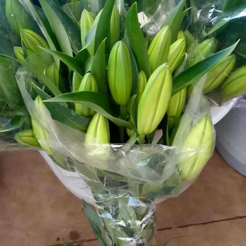 黄天霸黄色香水百合鲜花批发云南基地直发水培鲜切花摆摊插花插瓶