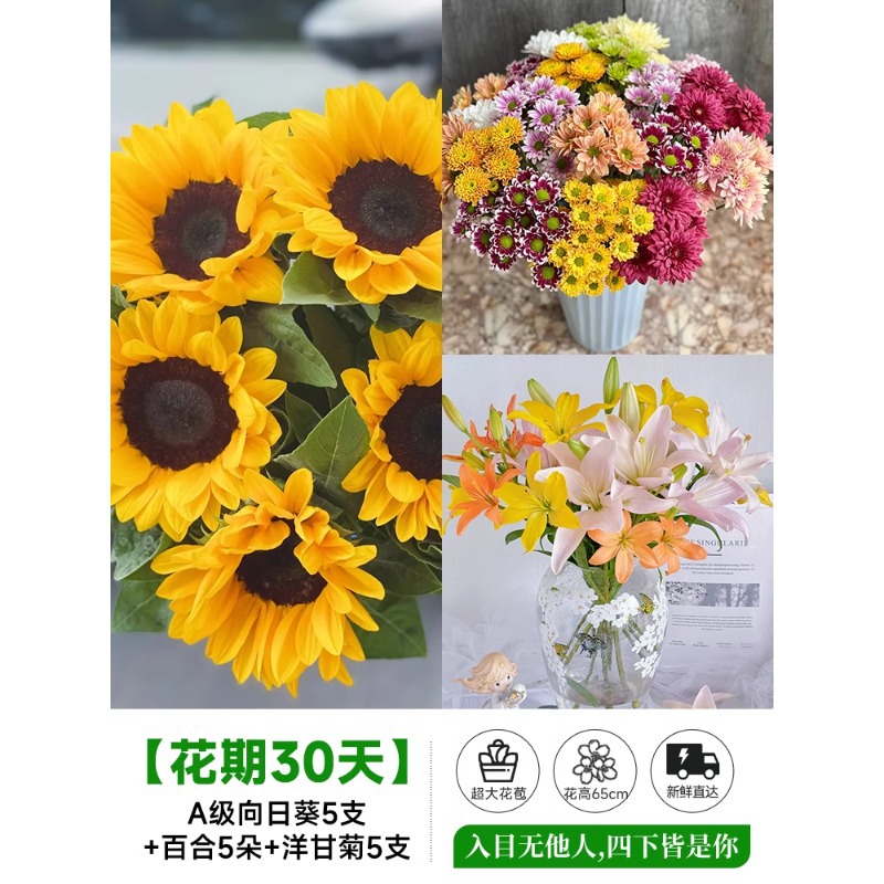 泰迪向日葵鲜花批發摆摊鲜花云南直发基地真花材鲜切花期长插花束
