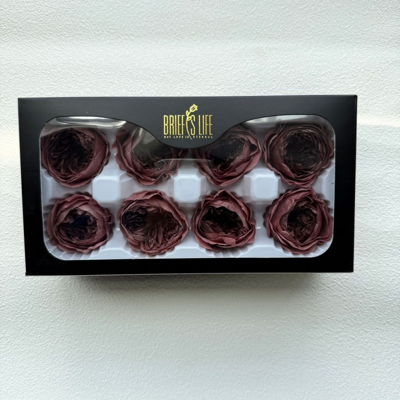 花者厂家直供A级保鲜花酷皮玫瑰4-5cm蝴蝶奥斯汀双色永生花头批发
