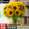 云南基地直发向日葵鲜花花束水养插花客厅装饰送女友送人老师朋友