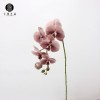 工厂直销 皇后蝴蝶兰7头长枝假花绢布过胶手感仿真花家居婚庆装饰