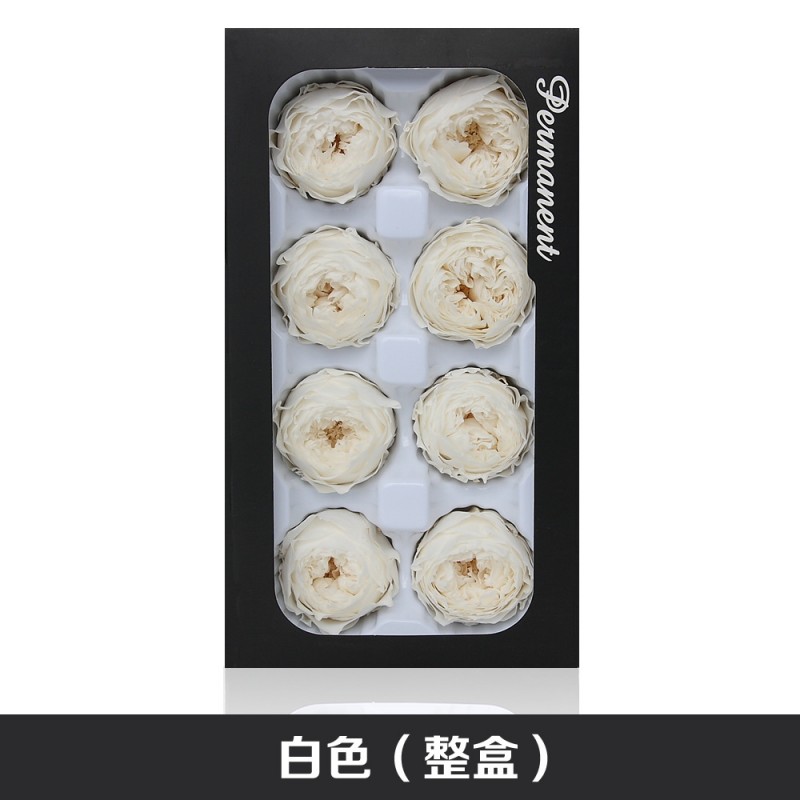国产奥斯汀永生花A级4-5cm钥匙扣车挂礼盒花材新娘头饰干花保鲜花