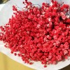 满天星干花永生花装饰材料批发零售家居婚庆跨境厂家直销