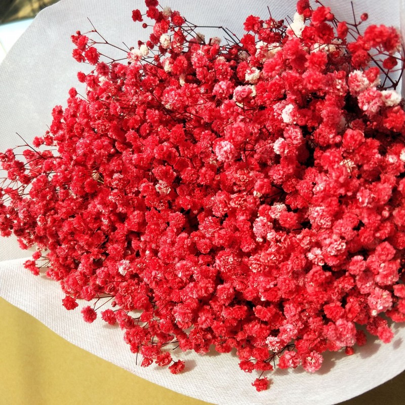 满天星干花永生花装饰材料批发零售家居婚庆跨境厂家直销
