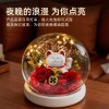 开业创意礼物公仔猫永生花玻璃罩礼盒母亲节情人节礼物永生花成品