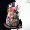 GLORIOUS永生花成品玫瑰保鲜花带灯高级感送女友七夕情人节礼物