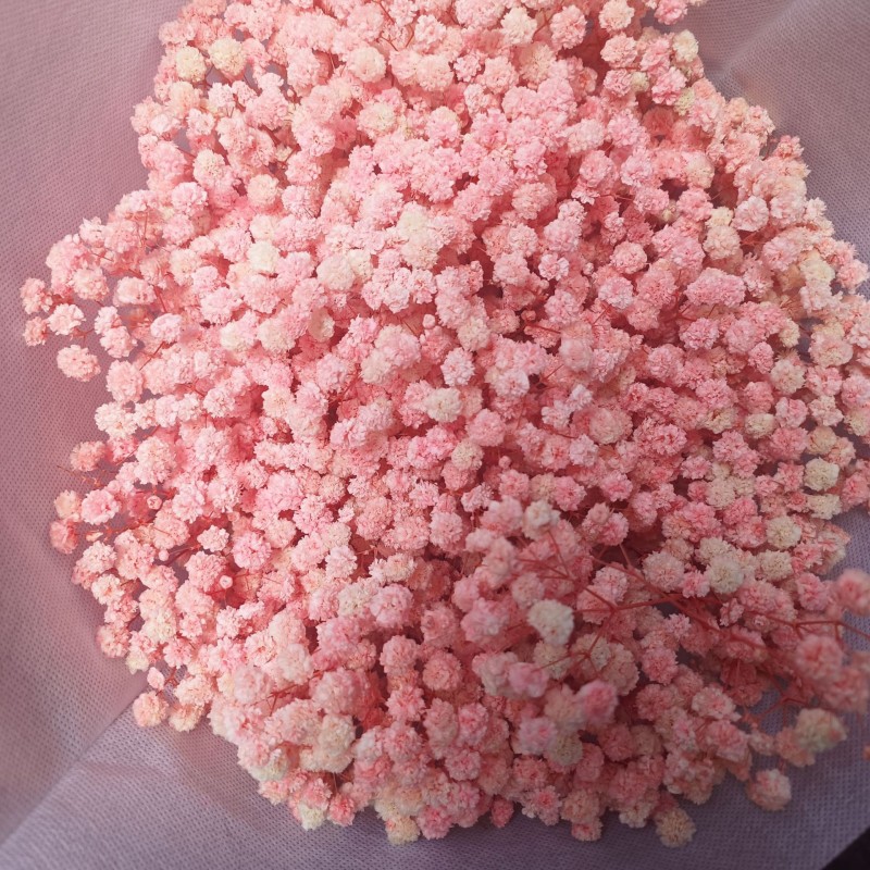 满天星干花永生花装饰材料批发零售家居婚庆跨境厂家直销